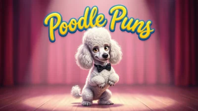 Poodle Puns